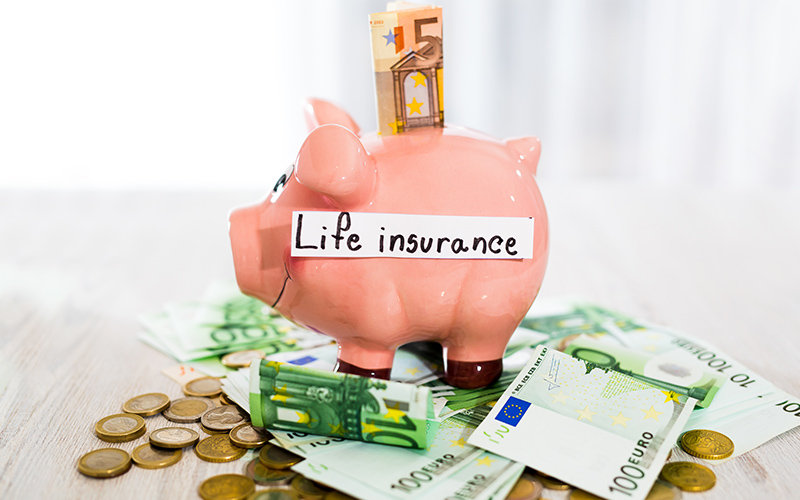 compare term life insurance edmonton